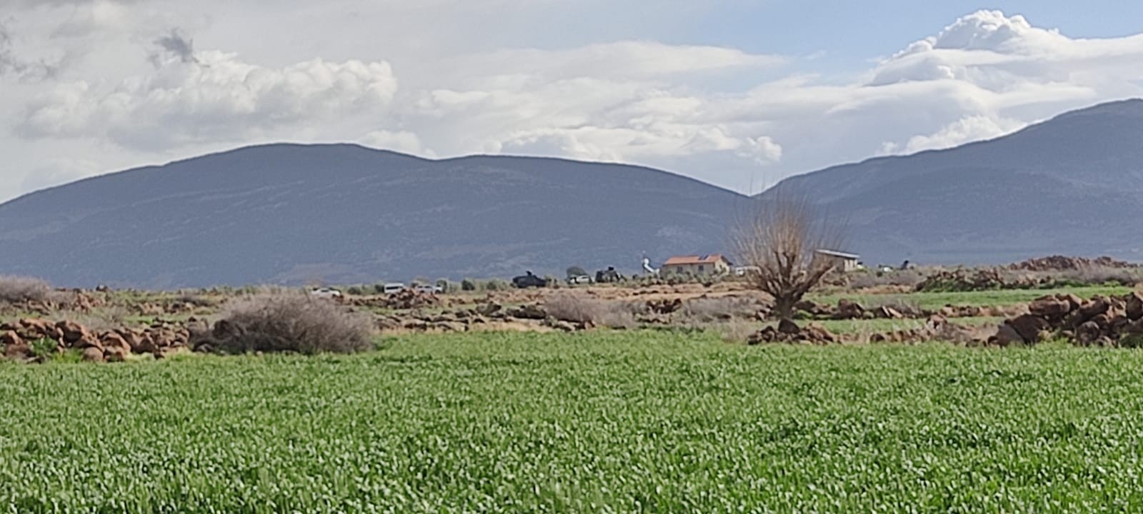 Hatay'da çatışma: 4 terörist etkisiz hale getirildi