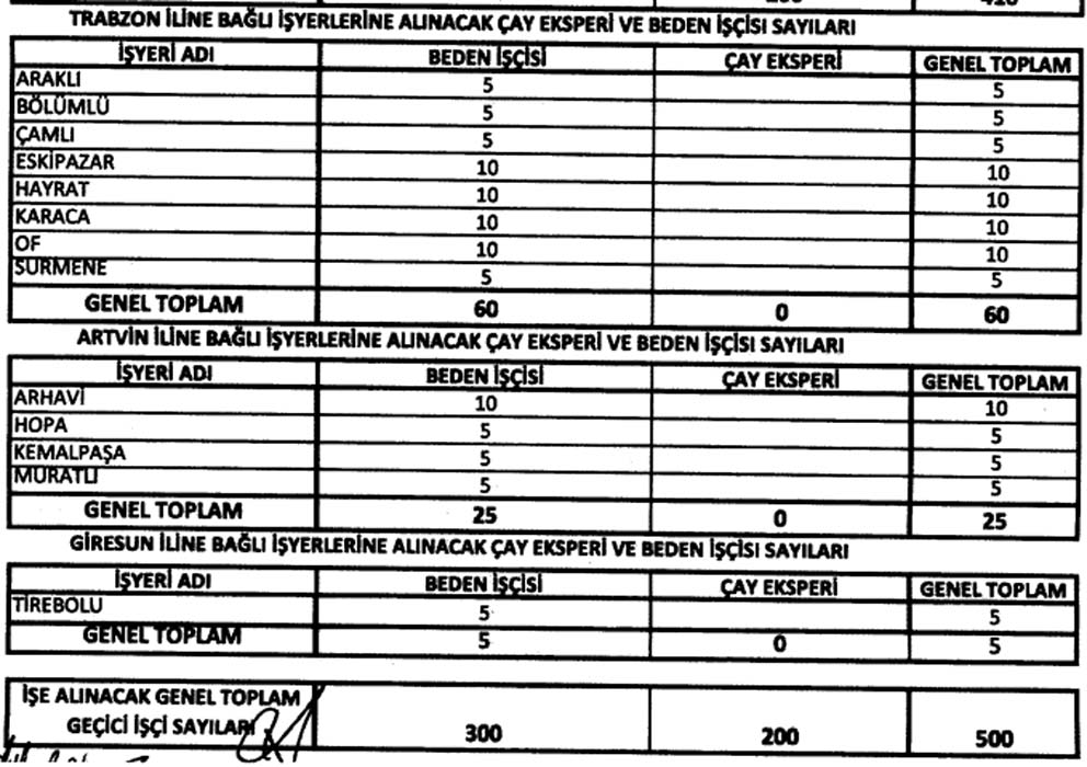 ÇAYKUR mevsimlik işçi alımı 2021 başvuru nasıl yapılır? ÇAYKUR 500 işçi başvuru şartları neler?