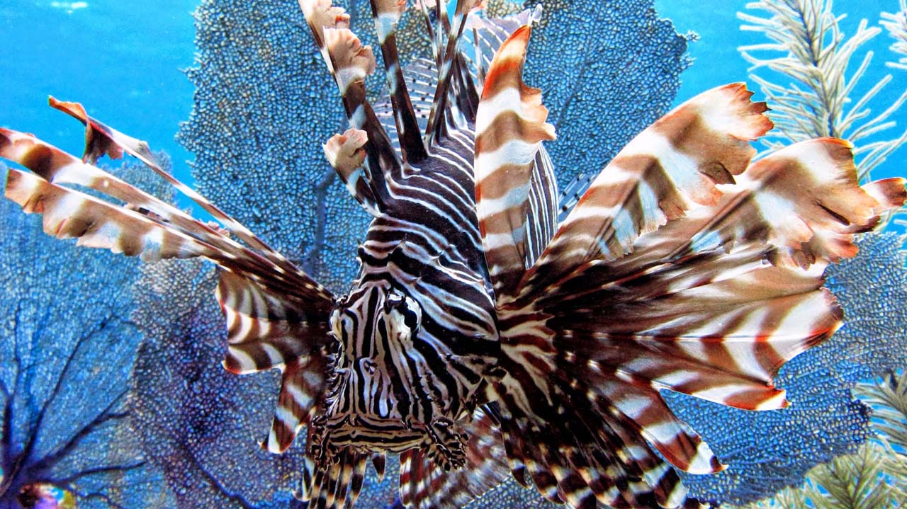 Uzman isim uyardı! Ciddi sağlık problemlerine yol açabilir