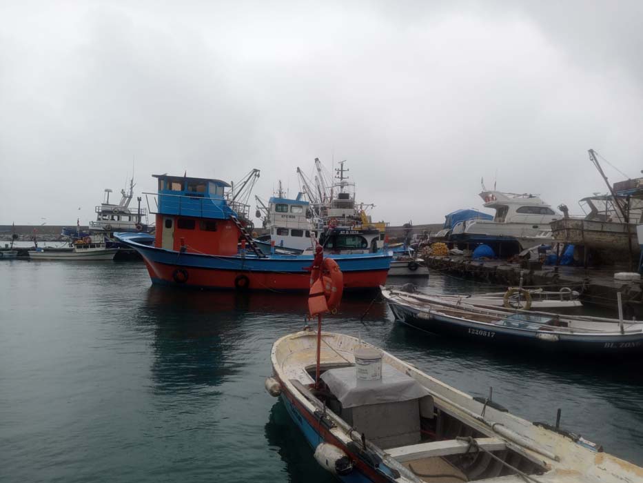 Sağanak yağış ve fırtına denizlerdeki balığı bollaştırdı! 