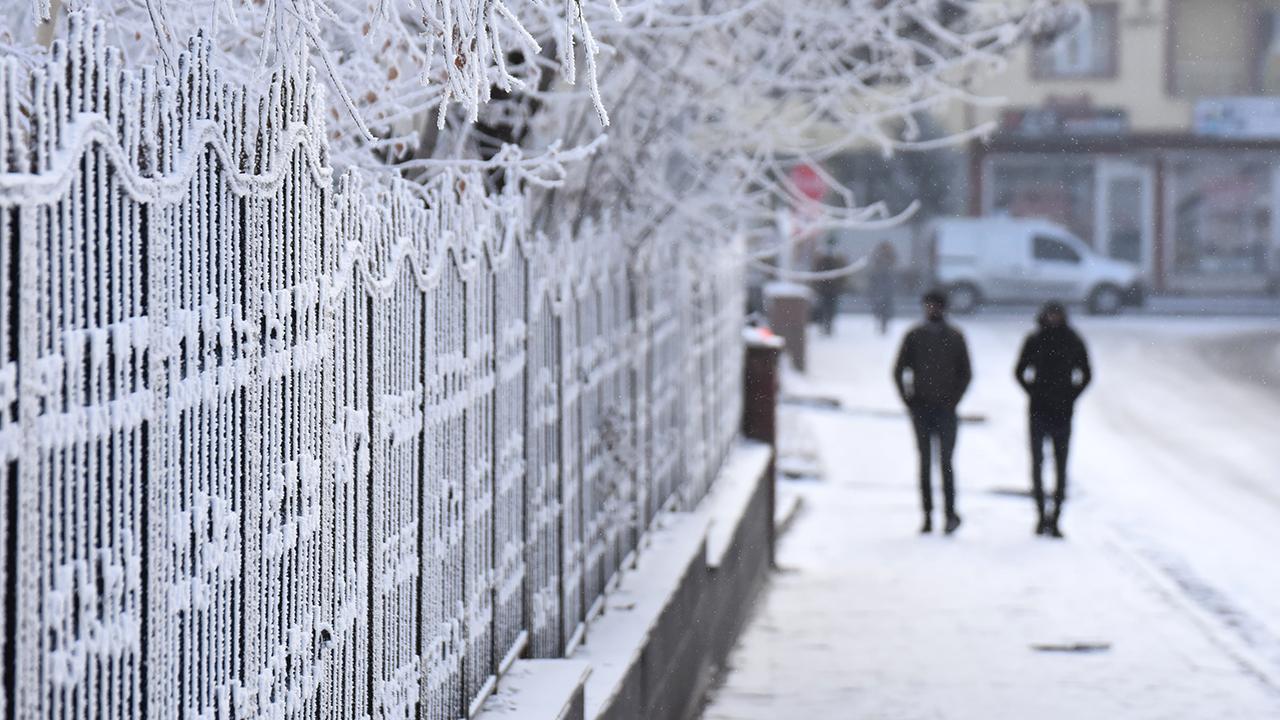 Prof Dr Orhan Şen Bahar gelecek mi sorusunu yanıtladı