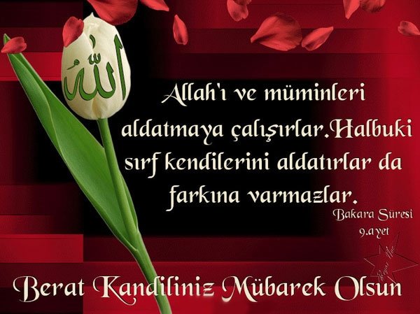 Berat Kandili mesajları resimli, gifli mesajlar 2022 | En anlamlı, güzel Berat Kandili mesajları, sözleri 2022