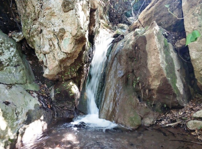 Muğla'da Kelebekler Vadisi alarmı! Valilik açıkladı: Şelale suyu herhangi bir işletme tarafından kullanılmıyor!