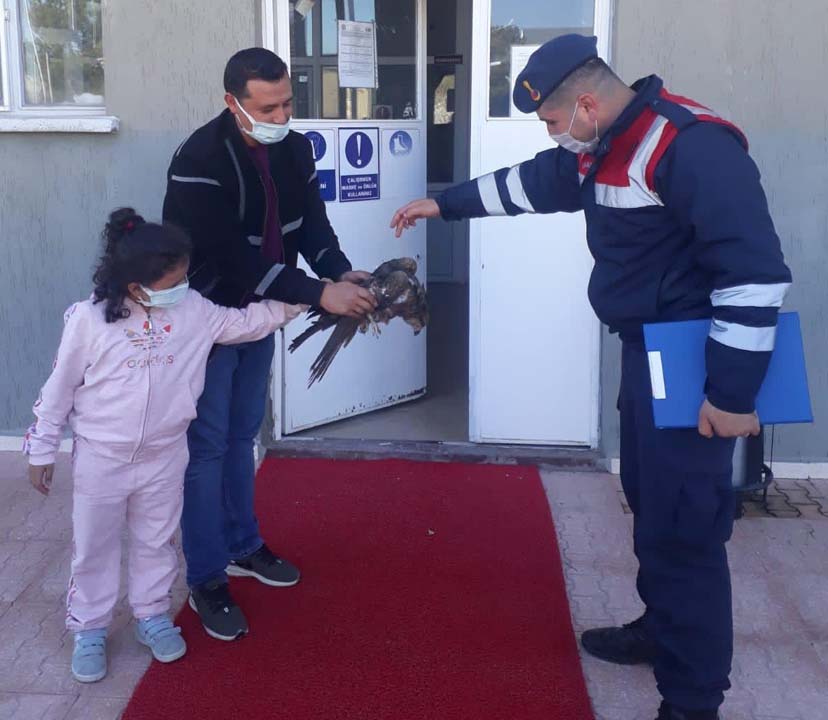 Jandarma ekiplerinden yaralı kartala yardım eli