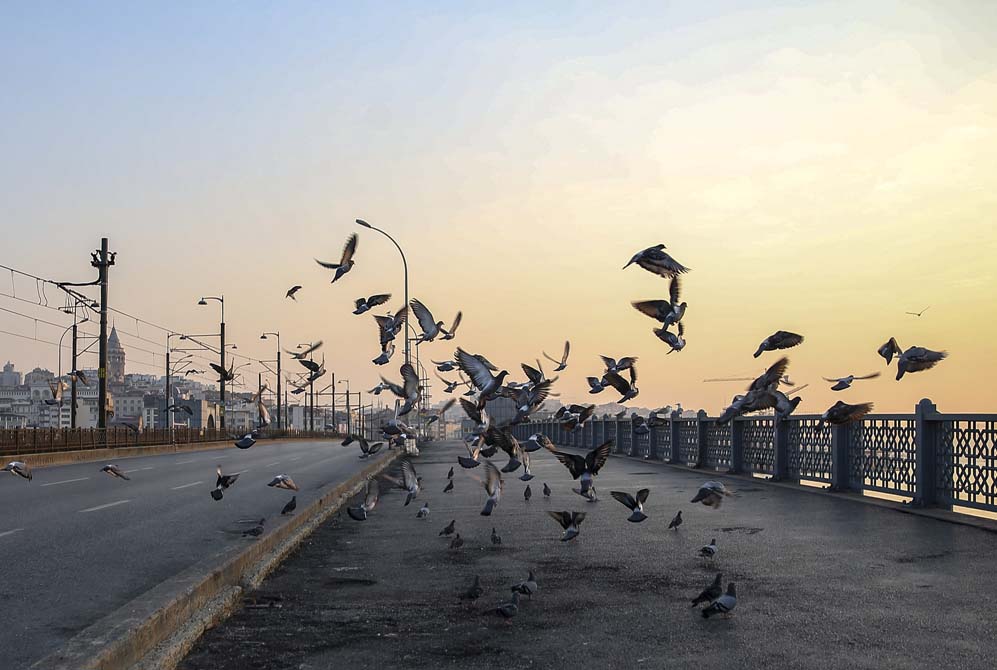 Hangi illerde sokağa çıkma yasağı yok son dakika 2021?