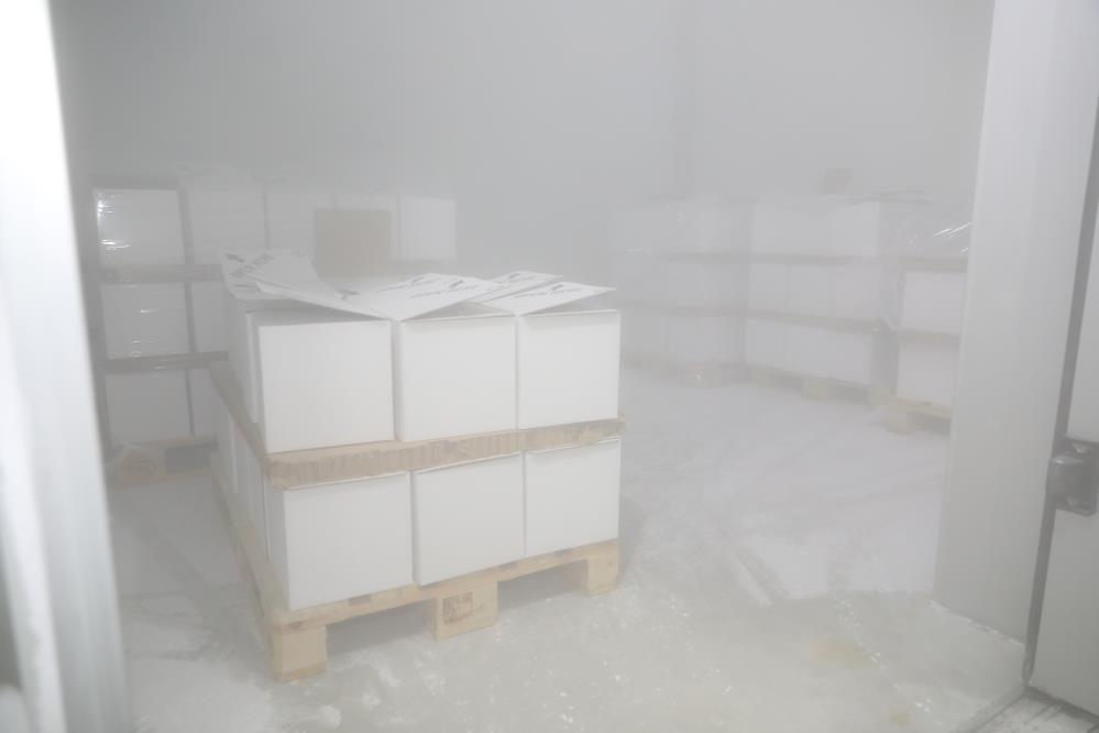 SON DAKİKA! Sağlık Bakanlığından BioNTech açıklaması: 2,8 milyon doz aşı depolarda!