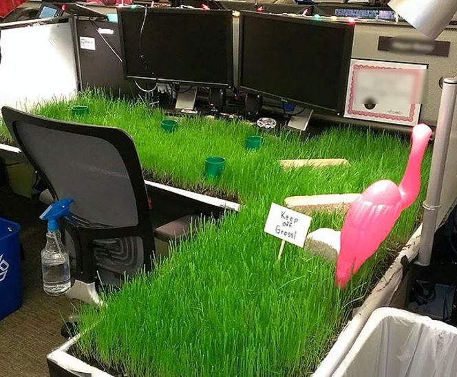 Patrona 1 Nisan şakaları 