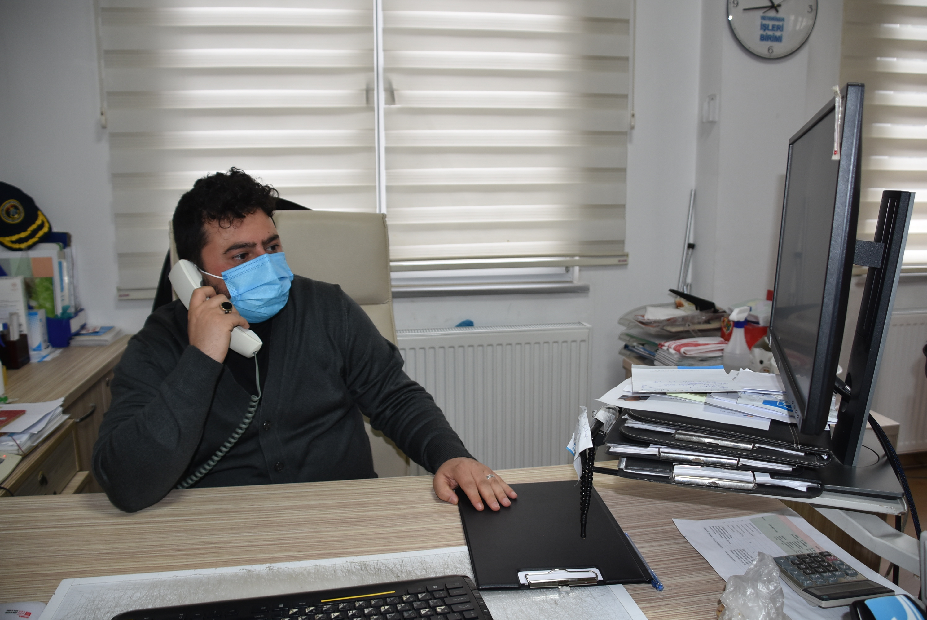 Pendik'te kediler yuvalarına kavuşuyor!