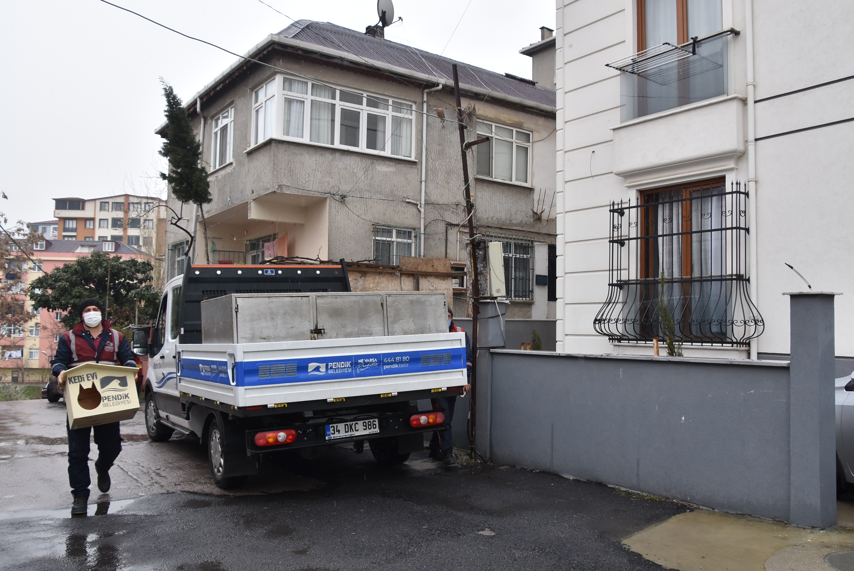 Pendik'te kediler yuvalarına kavuşuyor!