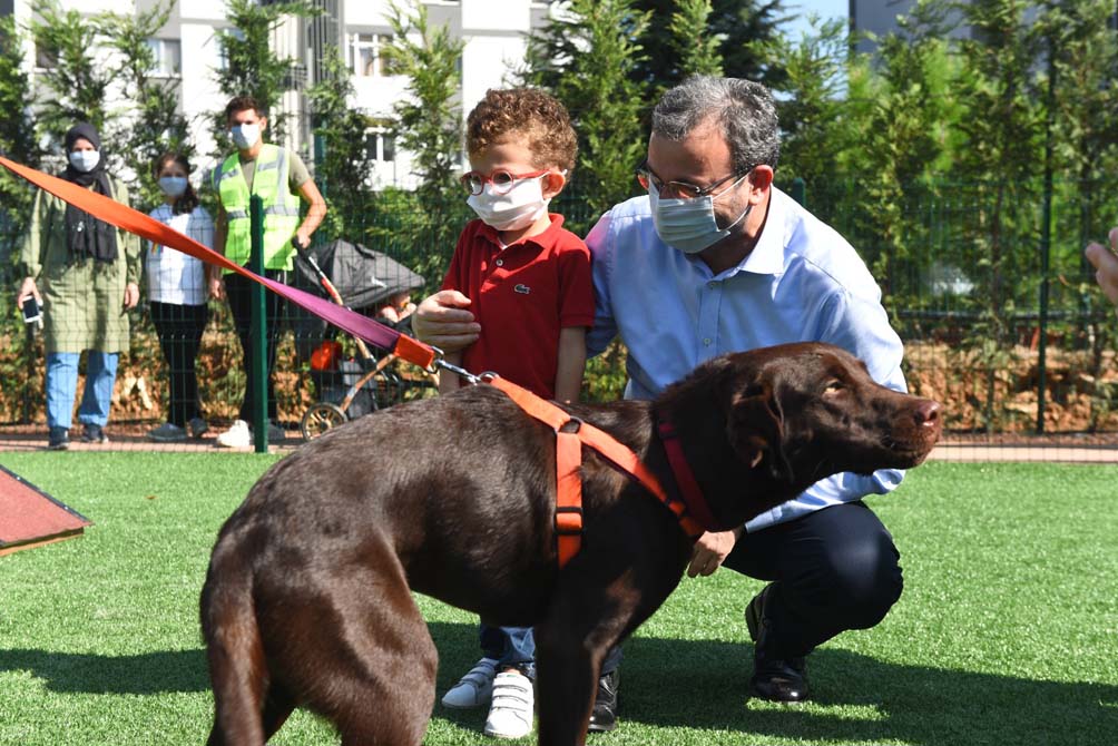 Pendik'te neşeli dostların yarışları başlıyor!