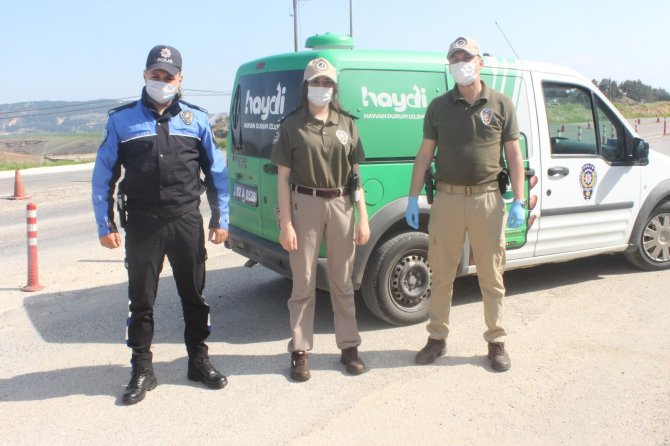 Adıyaman İl Emniyet Müdürlüğü Polis ekipleri sokak hayvanlarının karnını doyurdu