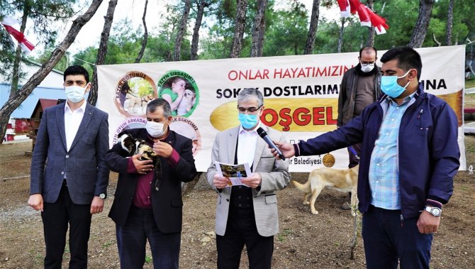 Kahramanmaraş'ta 35 bin sokak hayvanı yuvaya kavuştu!