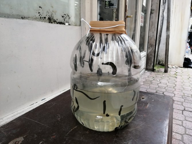 Samsun'da tarihi çarşıda ilaç niyetine sülük satılıyor