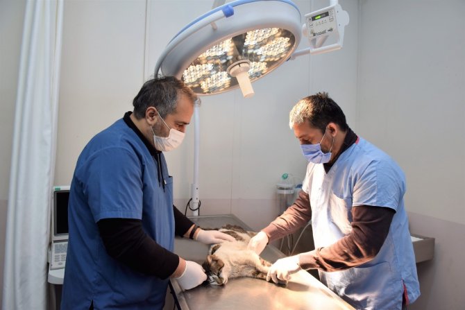 Yıldırım Belediyesi'nden takdir toplayan hareket