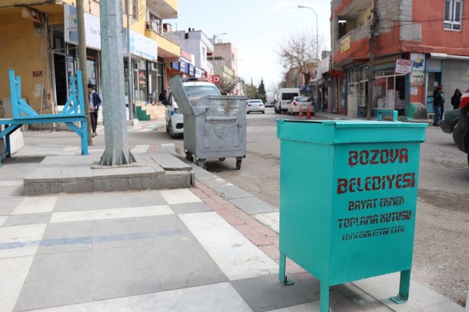 Bozova Belediyesi'nden sokak hayvanları için duyarlı proje