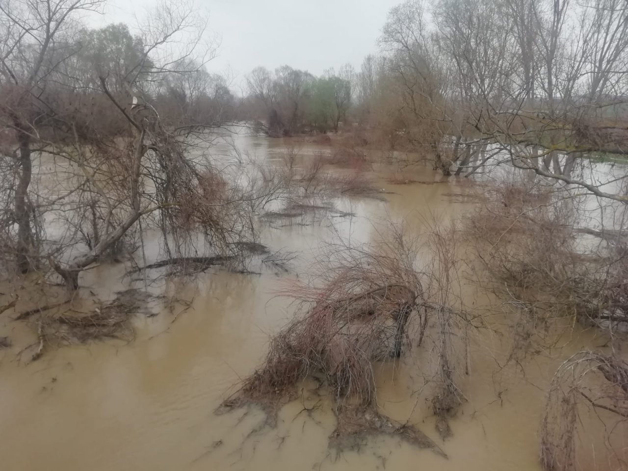 Bursa'daki sağanak yağış 35 bin dönüm tarım arazisini su altında bıraktı