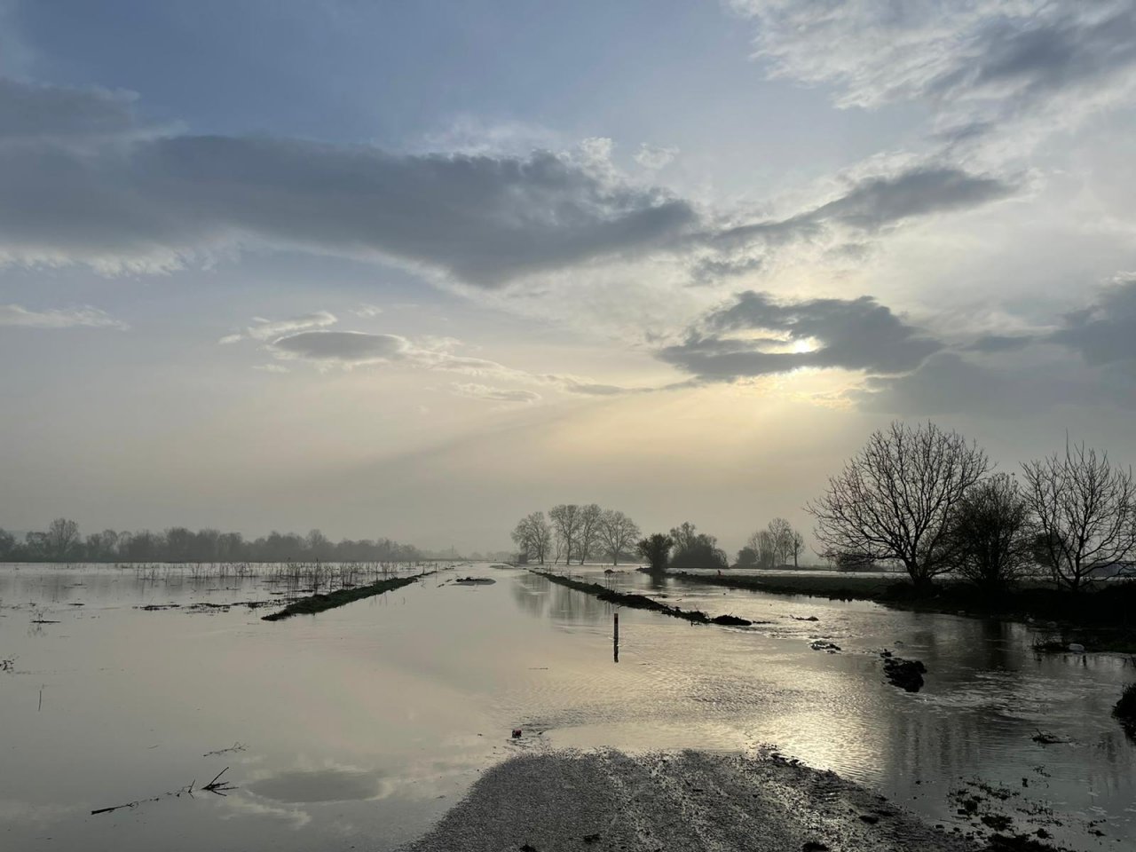 Bursa'daki sağanak yağış 35 bin dönüm tarım arazisini su altında bıraktı