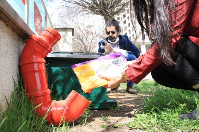 Elazığ’daki bir hastaneden örnek davranış: Sokak hayvanlarına sahip çıktı
