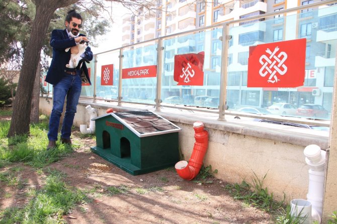 Elazığ’daki bir hastaneden örnek davranış: Sokak hayvanlarına sahip çıktı