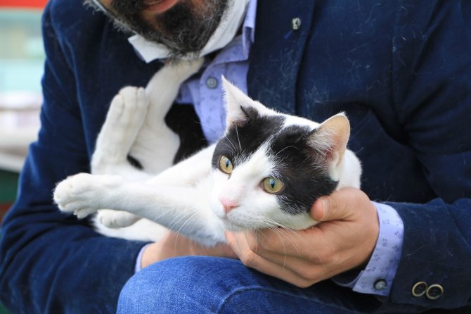 Elazığ’daki bir hastaneden örnek davranış: Sokak hayvanlarına sahip çıktı
