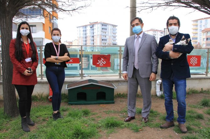 Elazığ’daki bir hastaneden örnek davranış: Sokak hayvanlarına sahip çıktı