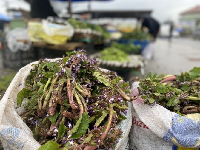 Her derde deva Kaldırık otunun satışlarına başlandı