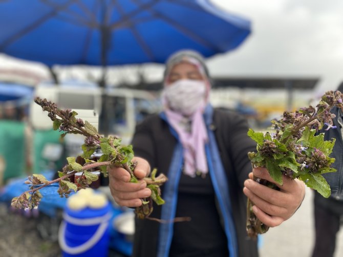 Her derde deva Kaldırık otunun satışlarına başlandı