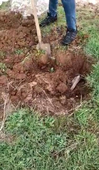 Şanlıurfa silah kaçakçılarına darbe! Uzun namlulu silahları ahırlara saklamışlar