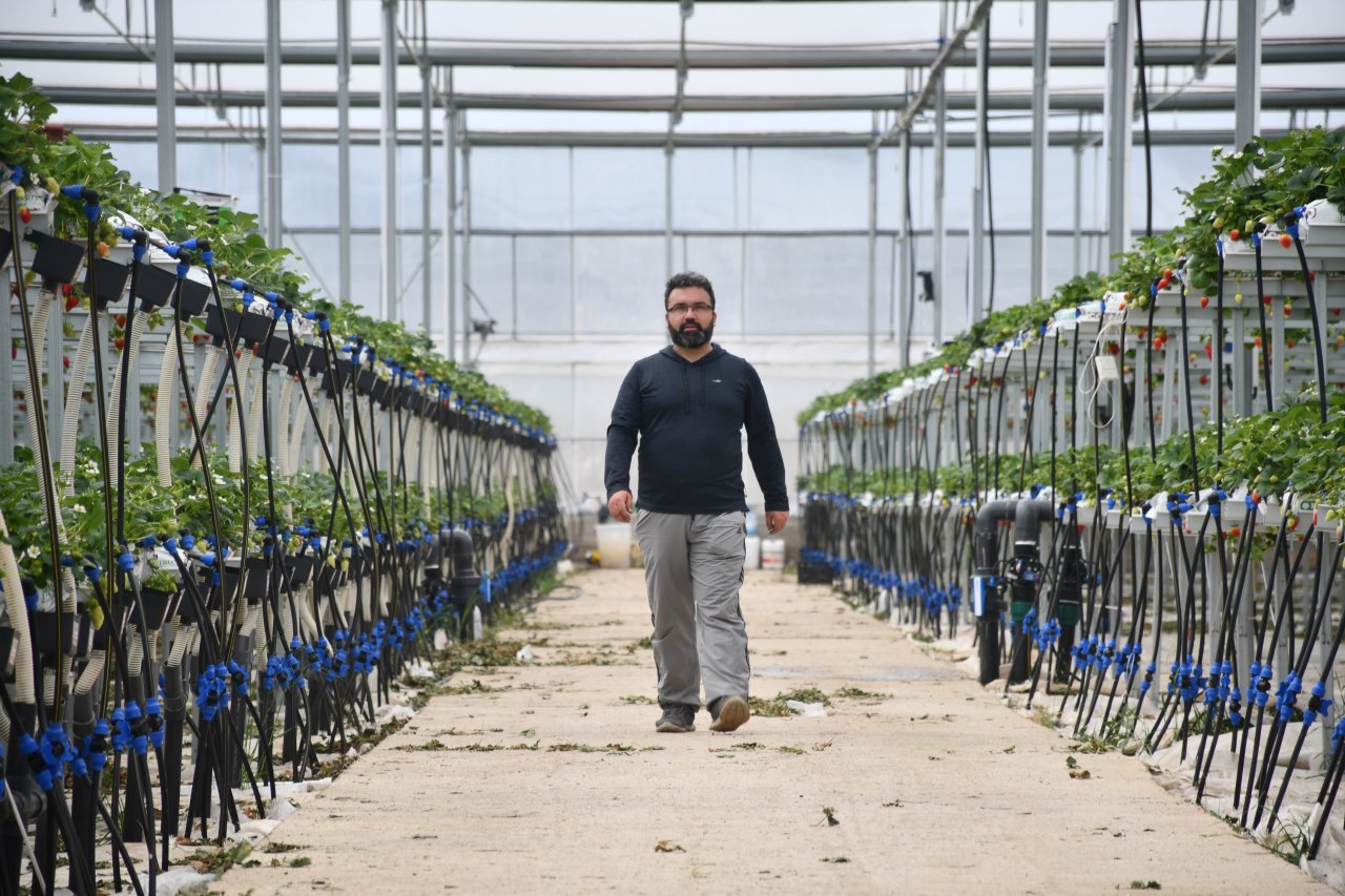 Şehirdeki işini bırakıp köyüne dönen bankacı şimdi 4 ülkeye çilek ihraç ediyor