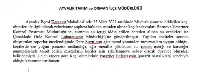 Ayvalık’ta keçi ölümlerinin sebebinin parazit olduğu ortaya çıktı