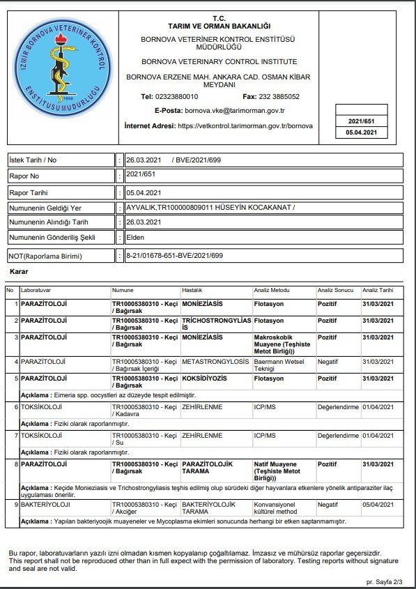 Ayvalık’ta keçi ölümlerinin sebebinin parazit olduğu ortaya çıktı