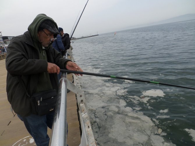 Bursa sahilde telaşlandıran görüntü