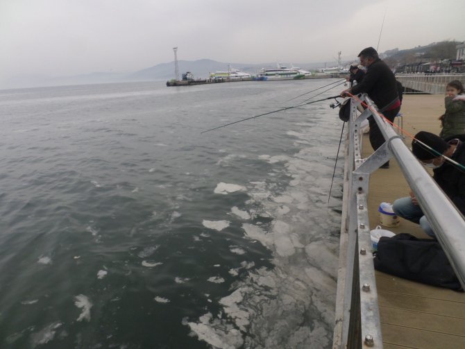 Bursa sahilde telaşlandıran görüntü