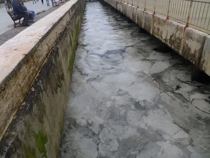 Bursa sahilde telaşlandıran görüntü