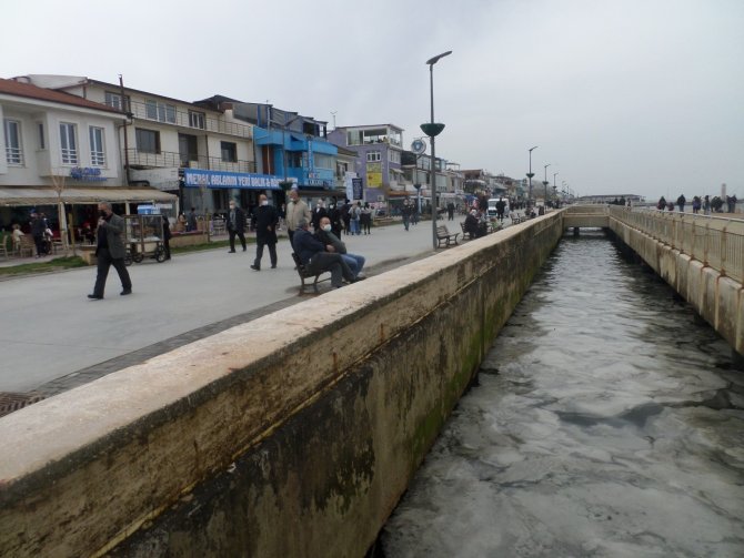 Bursa sahilde telaşlandıran görüntü