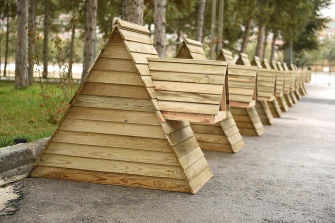 Çorum'daki sokak kedilerinin artık evleri var