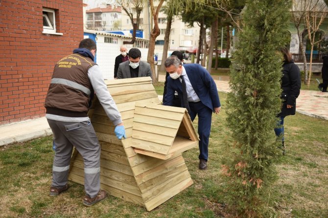 Çorum'daki sokak kedilerinin artık evleri var
