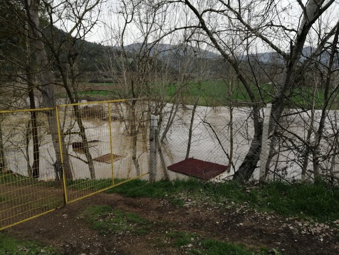 Göksu nehrinin taşmasıyla tarım arazileri büyük zarara uğradı