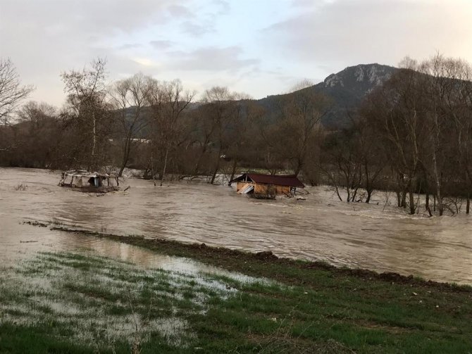 Göksu nehrinin taşmasıyla tarım arazileri büyük zarara uğradı