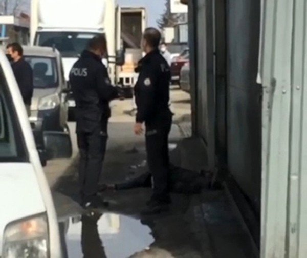 Kahraman köpek, bir tecavüz şüphelisini ele verdi