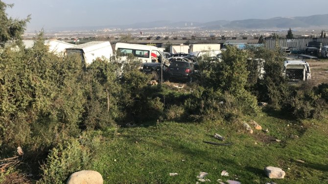 Kahraman köpek, bir tecavüz şüphelisini ele verdi