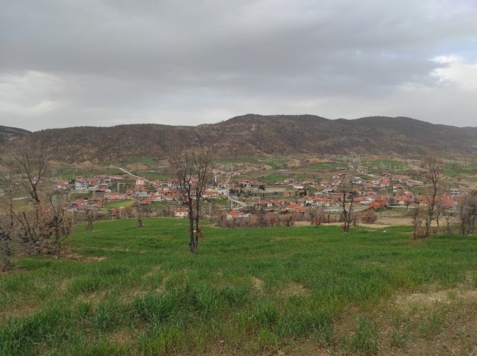 Ölüm sebebinin kesinleşmesi için mezarı açılan yaşlı kadının torunu çarpıcı açıklamalarda bulundu