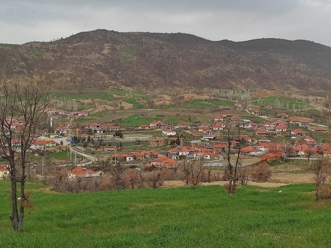 Ölüm sebebinin kesinleşmesi için mezarı açılan yaşlı kadının torunu çarpıcı açıklamalarda bulundu