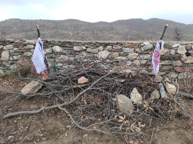 Ölüm sebebinin kesinleşmesi için mezarı açılan yaşlı kadının torunu çarpıcı açıklamalarda bulundu