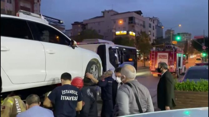 Pendik Belediye Başkanının ihbarıyla aracın motor kısmına sıkışan kedi kurtarıldı