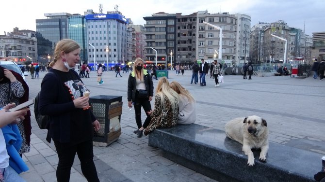 Taksim’de turistlerin dondurma yedirdiği köpek ilgi odağı oldu