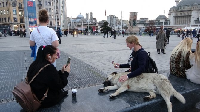 Taksim’de turistlerin dondurma yedirdiği köpek ilgi odağı oldu