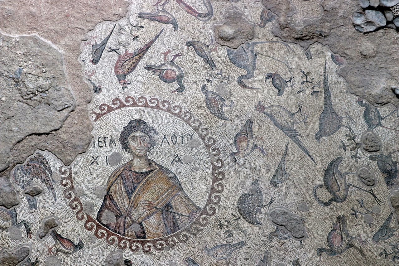 Türkiye'nin, tarihe ışık tutan mozaik eserleri göz kamaştırıyor