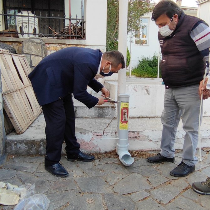 Altınoluk, sokak hayvanlarının mama ihtiyacını karşılıyor