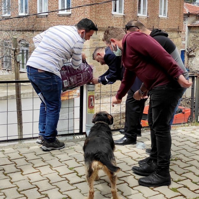 Altınoluk, sokak hayvanlarının mama ihtiyacını karşılıyor